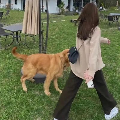 辍学生